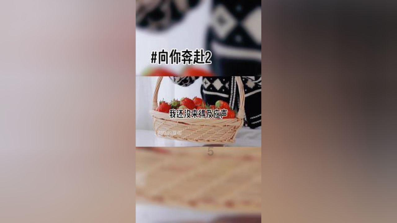 《飞虎之雷霆极战》的豆瓣评分如何？游戏画面