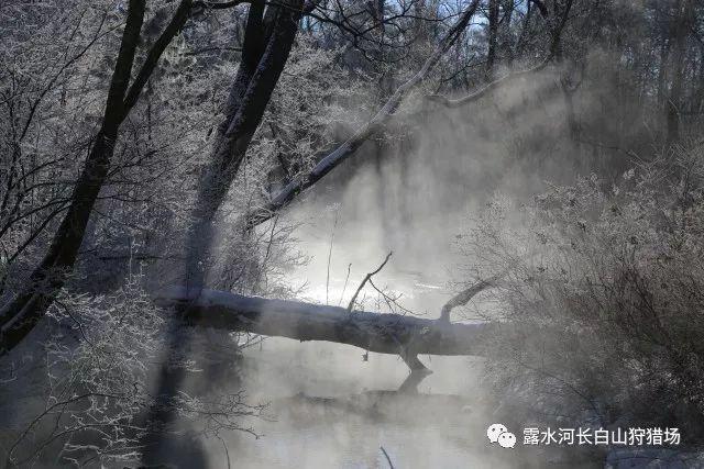 假面骑士歌查德传奇骑士形态皮套公开 银河沃兹的皮套被拆了
