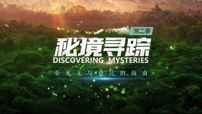 御龙在天