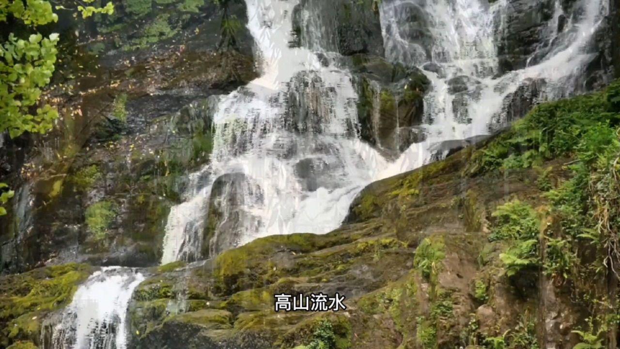 鲜奶运输车找不同