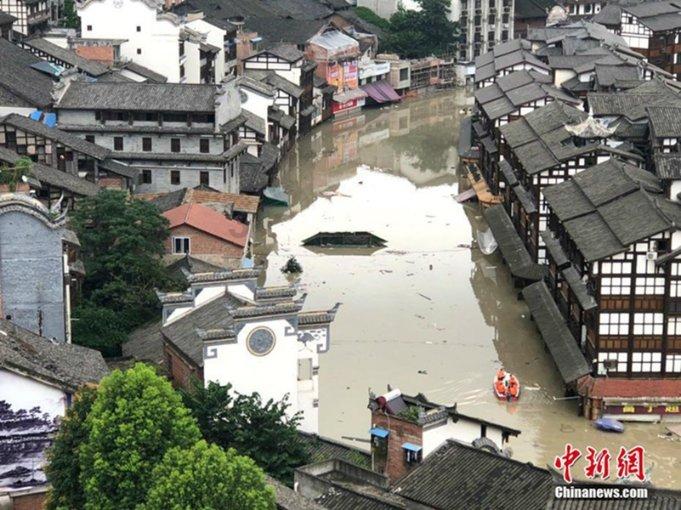 拯救蝙蝠家族