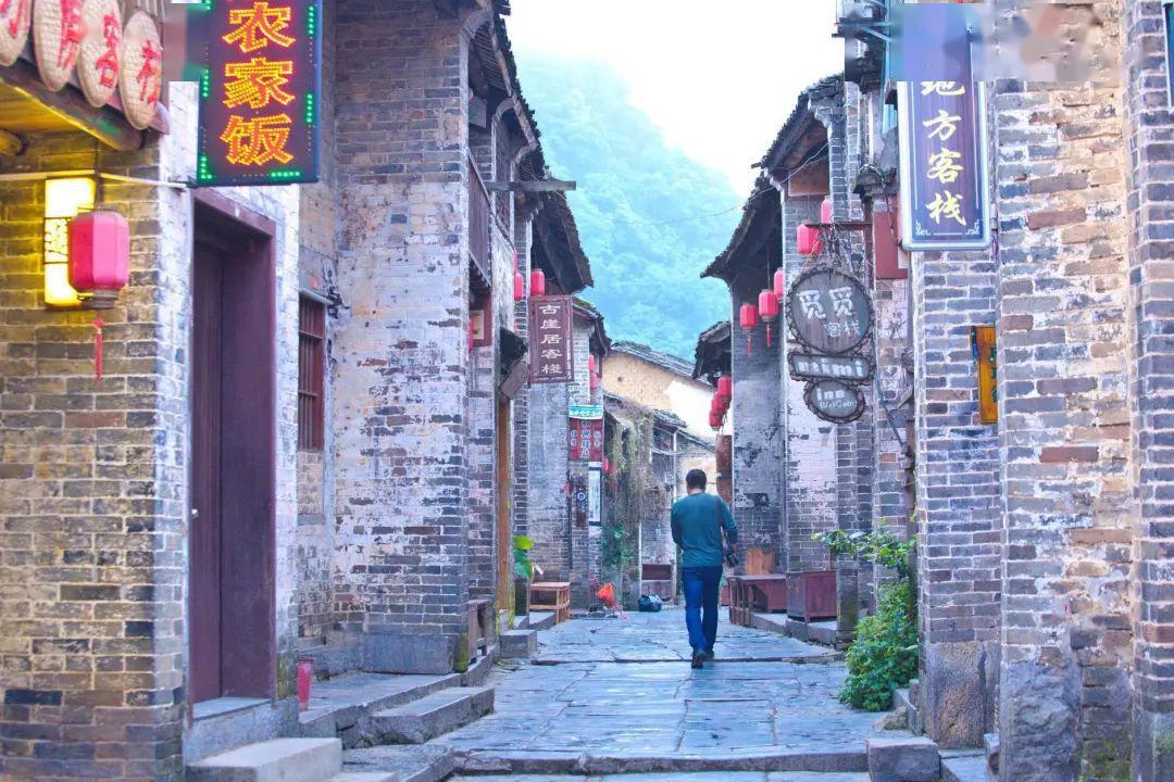 植物大战僵尸10