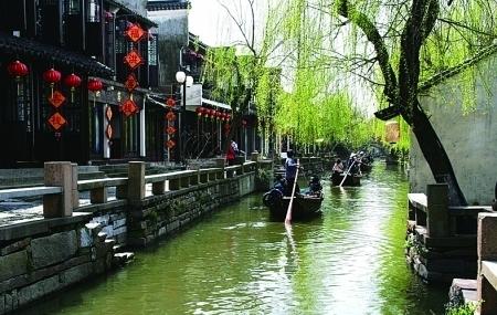 她一生未婚无儿无女,却是万婴之母,晚年昏迷时大喊:快给我产钳
